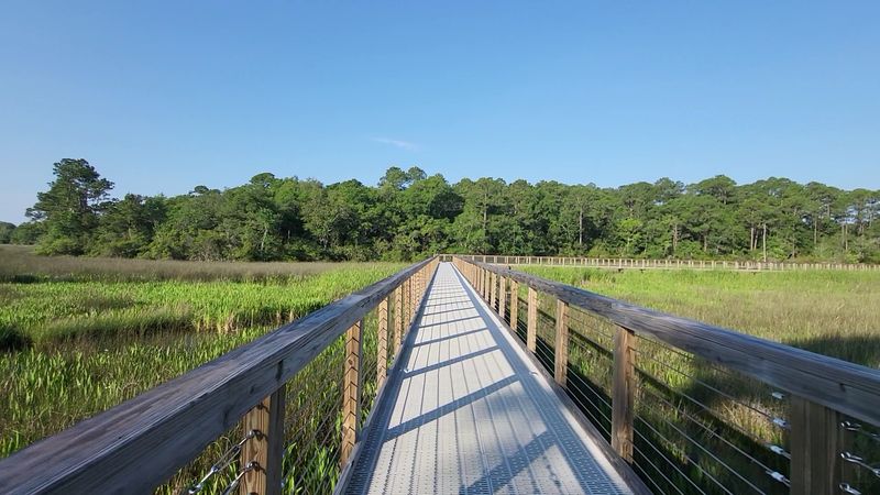 Shepard State Park - Gautier