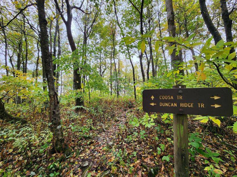 Trails That Match Any Pair Of Boots