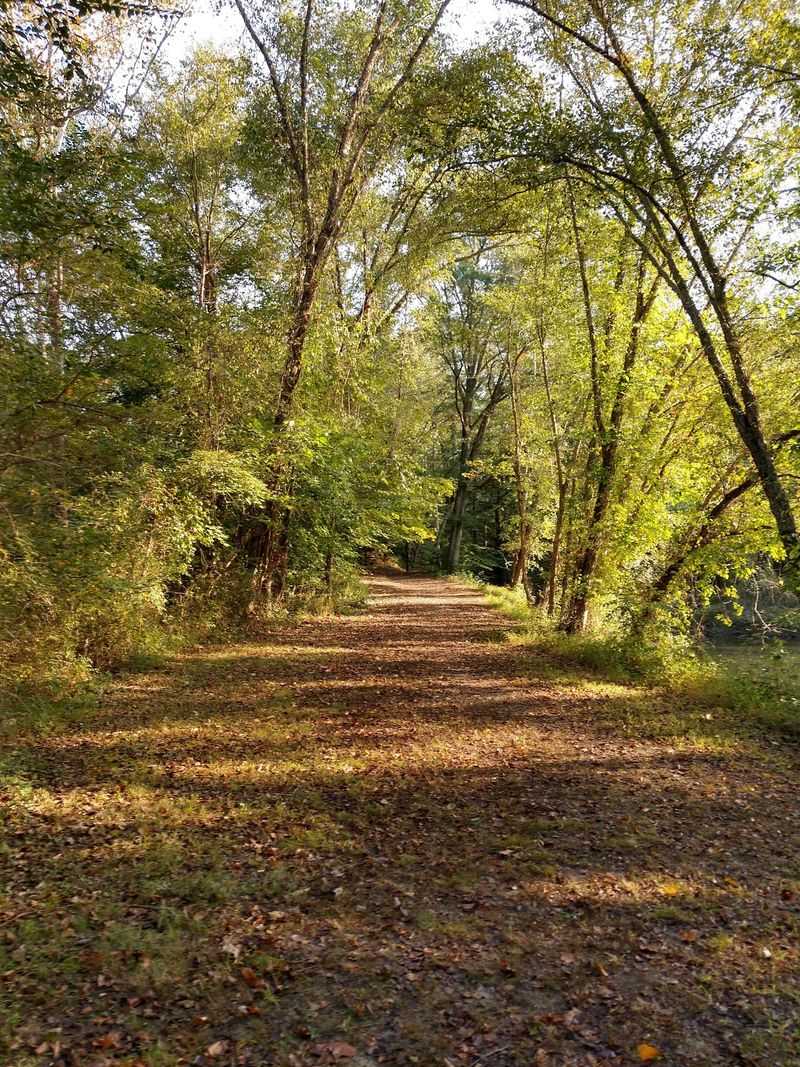 Paved Loops And Woodland Paths Worth Lacing Up For