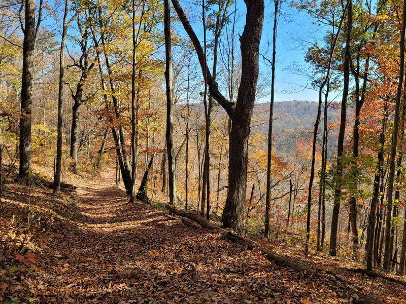 Clear Creek Trail, Norris Dam State Park, Rocky Top