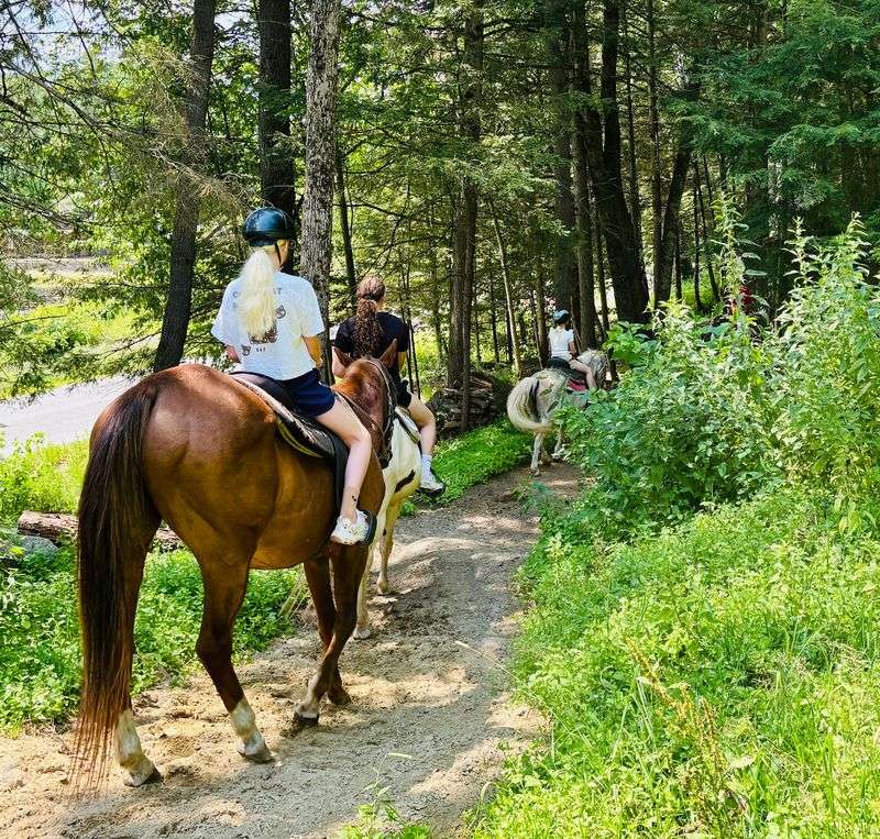 Horses With Names, Habits, And Opinions