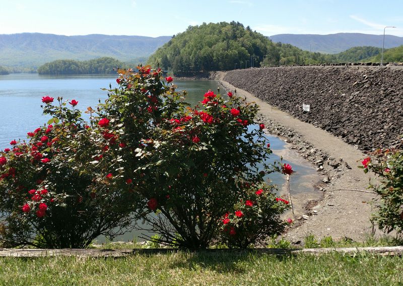 South Holston Dam