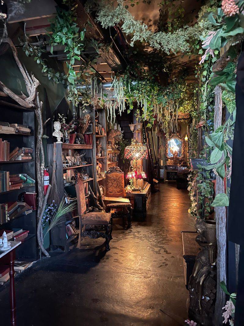 Shadowy Indoor Gardens And Unexpected Passageways