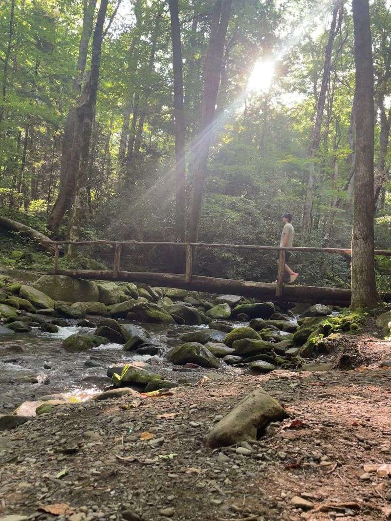 Cosby Area Of Great Smoky Mountains National Park