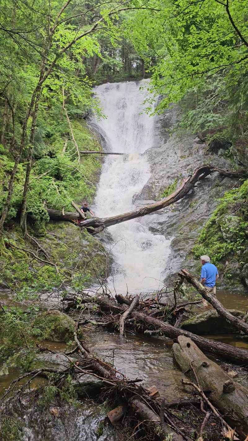 A Short Forest Trail Leads To Tannery Falls