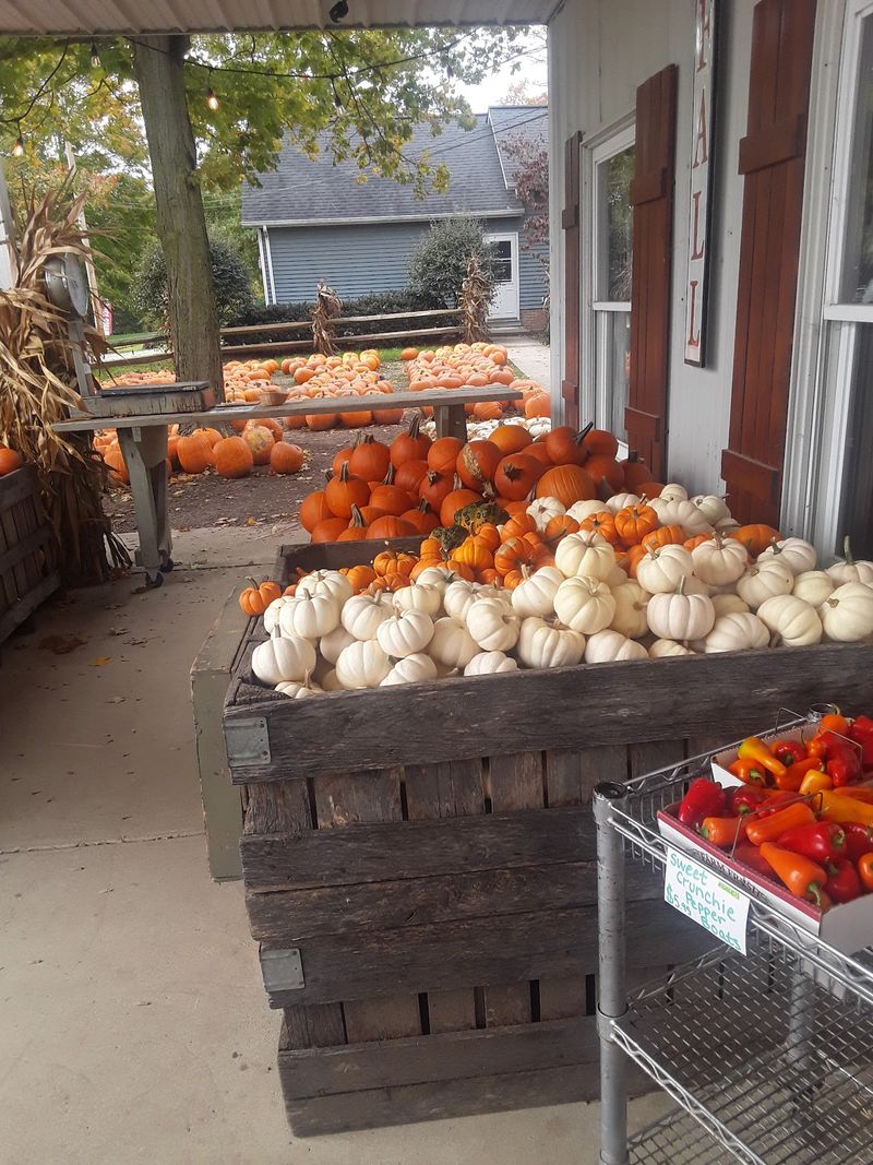 Red Wagon Farm, Columbia Station, OH