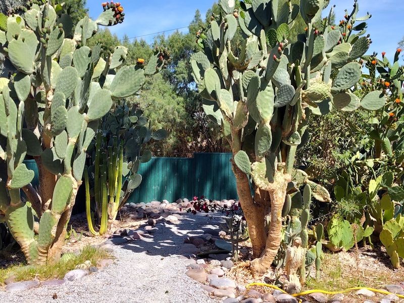 Quiet Paths Away From The Strip