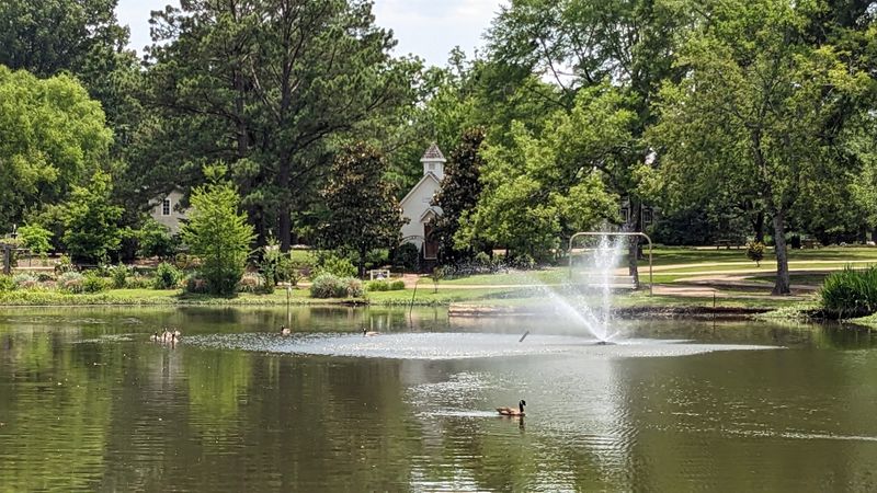 Strawberry Patch Park And Its Duck-Filled Lake