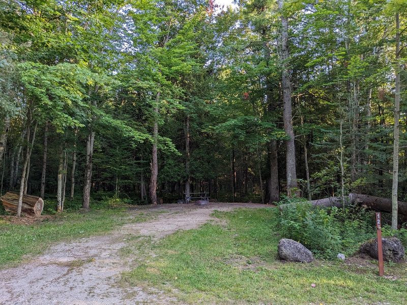 Black River State Forest Campground, Naubinway, MI