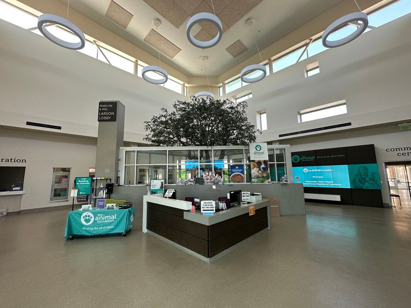 The Animal Foundation, Las Vegas