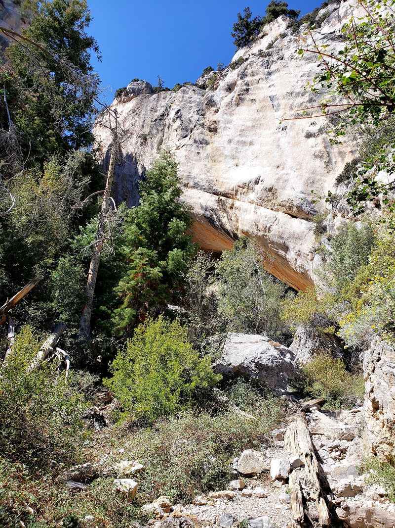 Robbers Roost Trailhead, NV-158, Mt Charleston, NV