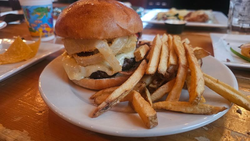 The Bison Burger And Other Handhelds