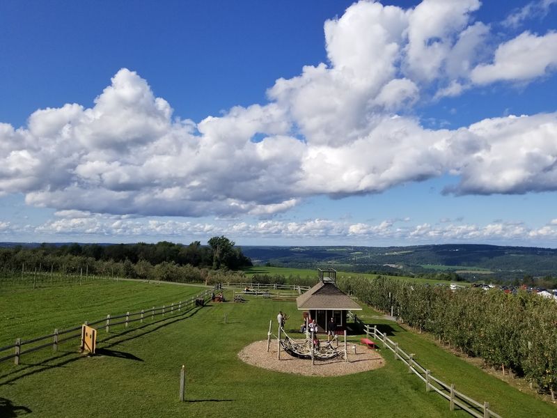 Planning A Visit That Actually Works
