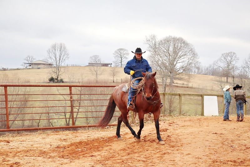 Horse Country Runs Deep