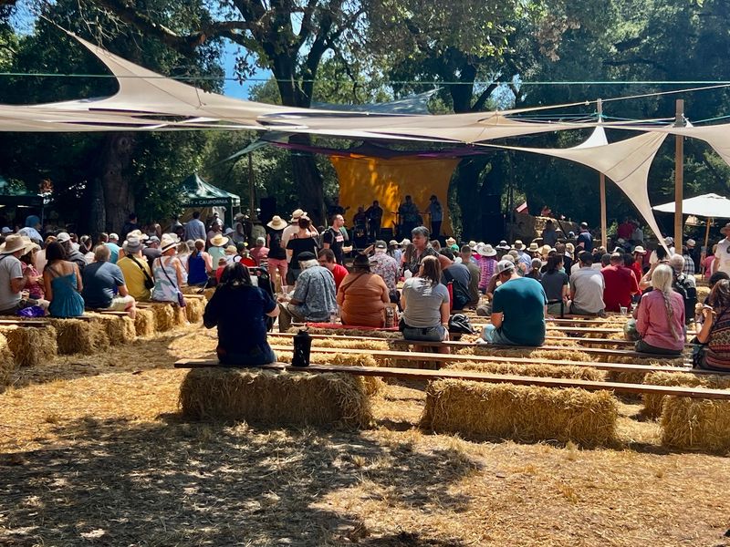 Gravenstein Apple Fair, Sebastopol