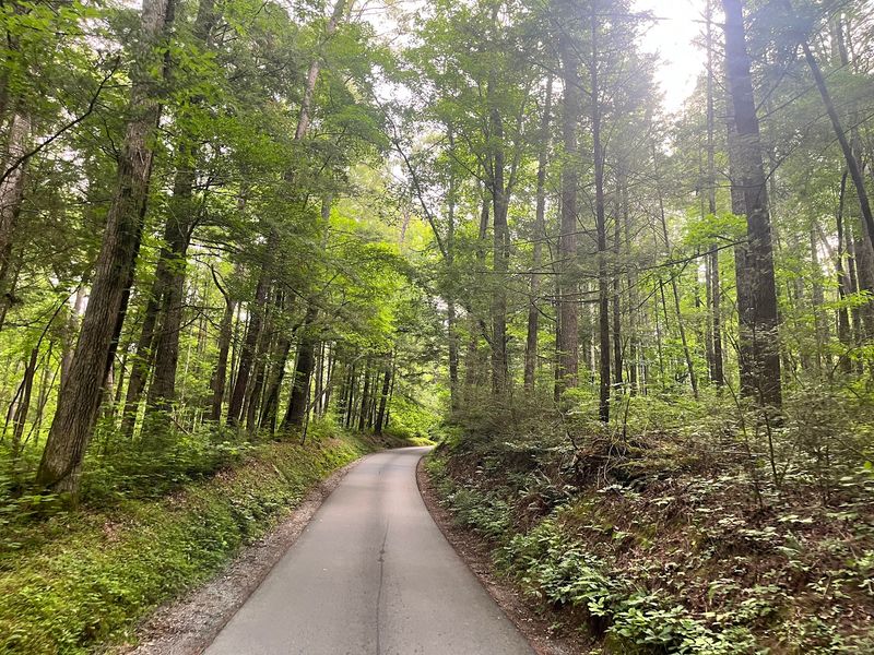 John Oliver Cabin Walk, Cades Cove, Townsend
