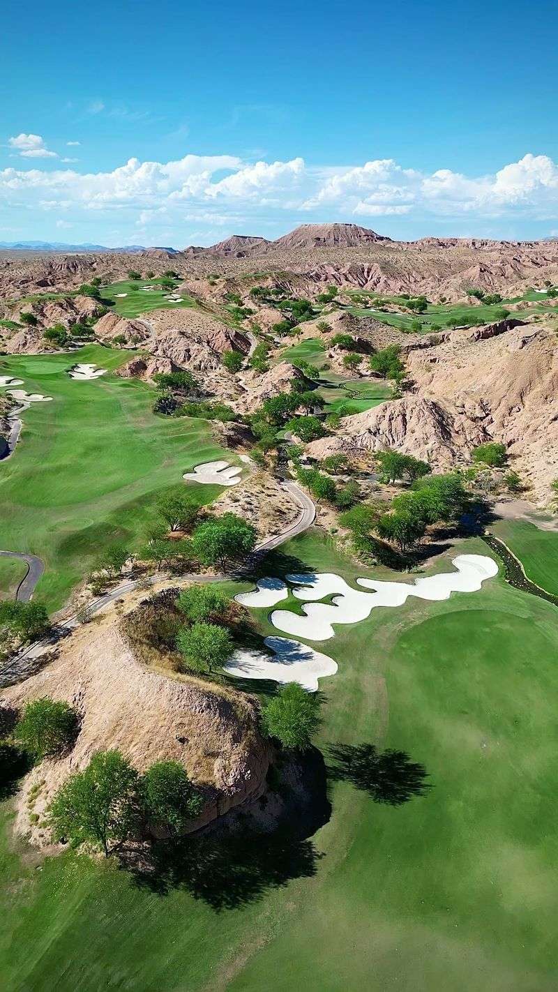 Mesquite