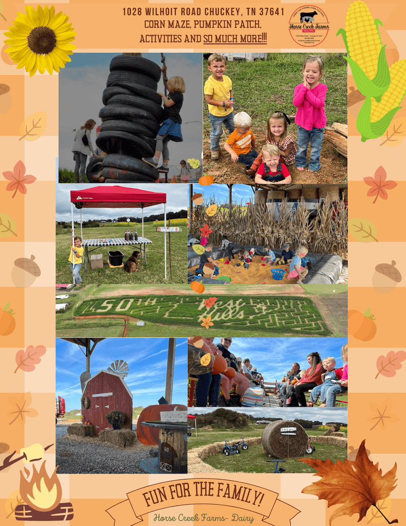 Eighteen Acres of Corn Maze and Flashlight Nights