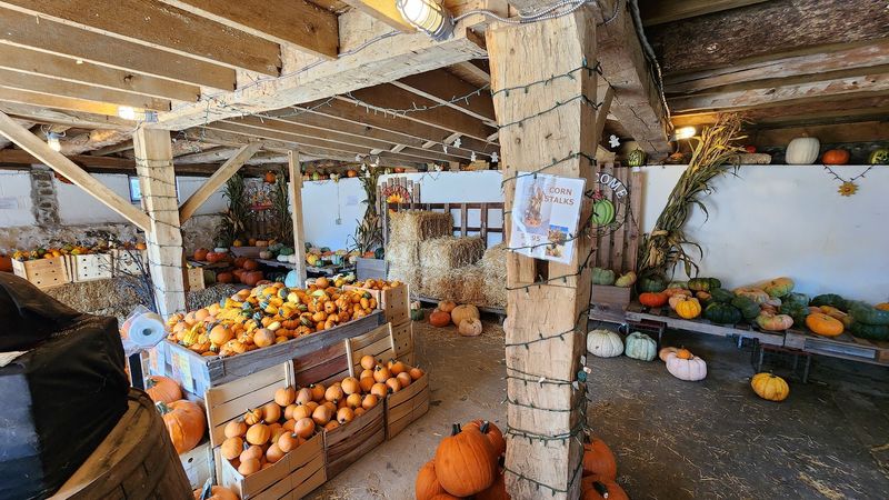 Beckwith Orchards Cider Mill, Kent, OH