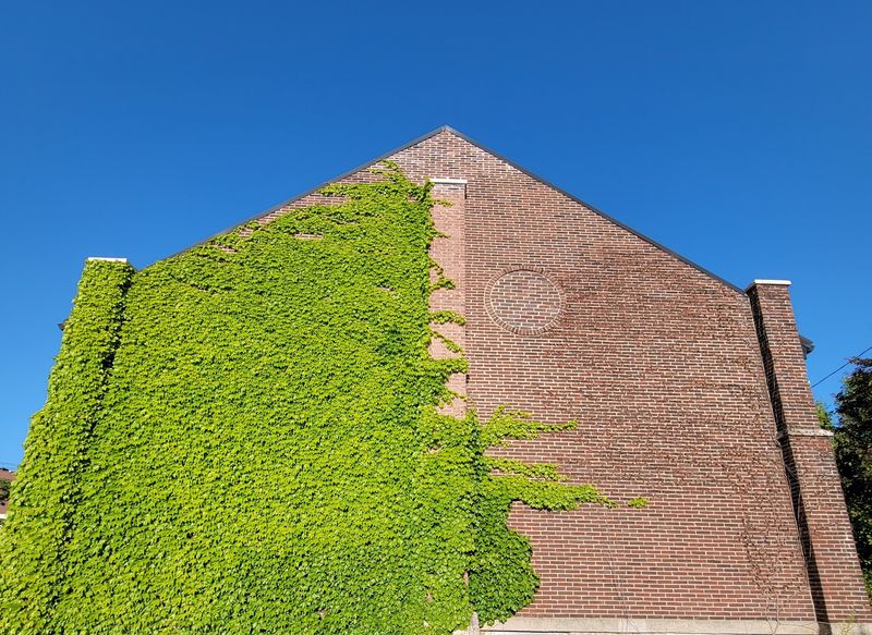 Beloit Turns An Old Mill District Into A Riverwalk Destination