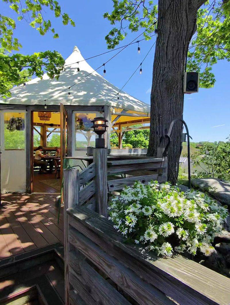 Your Treetop Escape Starts Here