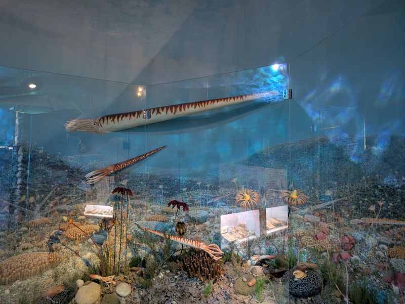 Ancient Oceans Once Covered The Ground You Stand On