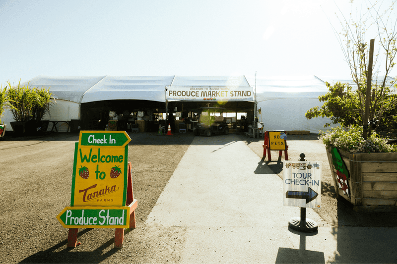 Tanaka Farms, Irvine
