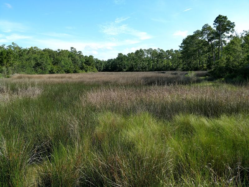 Green Spaces And Coastal Breezes