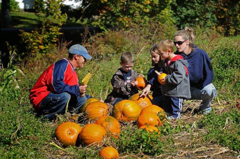 Autumn Pumpkins, Corn Mazes, And Trick-Or-Treating