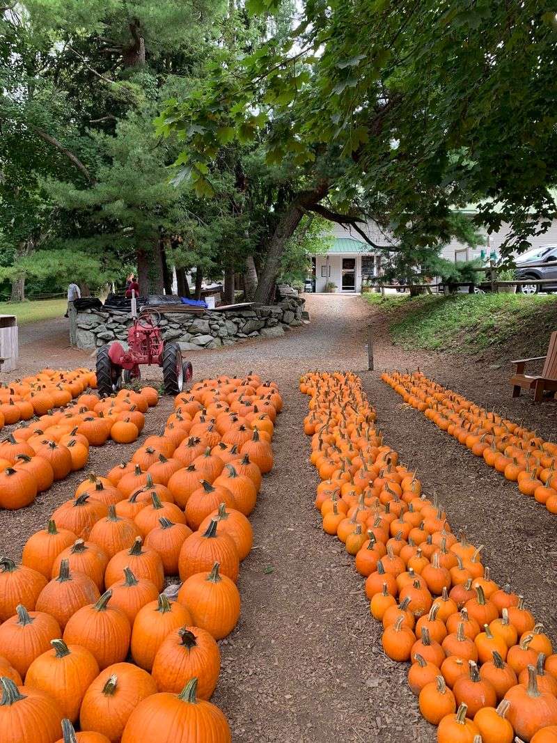 Honey Pot Hill Orchards