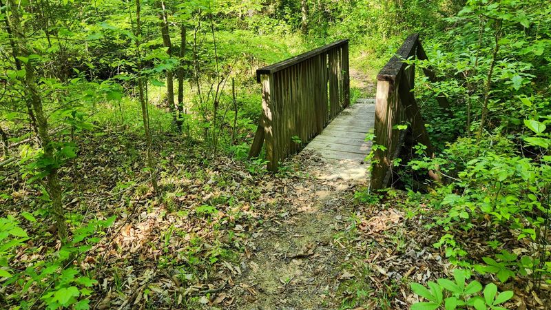Dark Hollow Trail Lives Up To Its Gloomy Billing