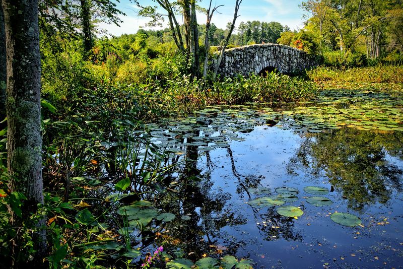 Mass Audubon's Ipswich River Wildlife Sanctuary