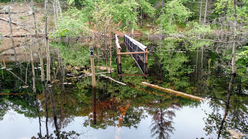 Rocky Woods