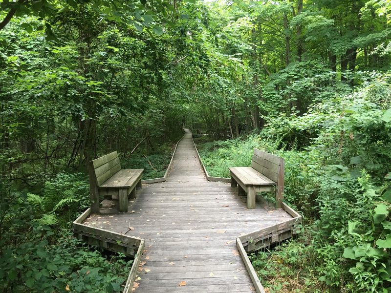 Mass Audubon's Broad Meadow Brook Conservation Center And Wildlife Sanctuary