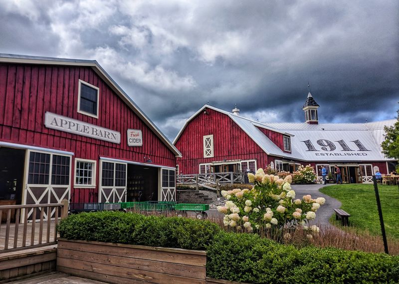 A Century Of Apples, Told In Chapters