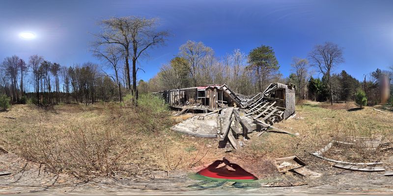 Farms That Faded Into Timber