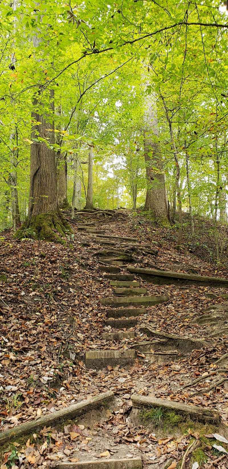 Simple Habits That Keep Trail Encounters Calm