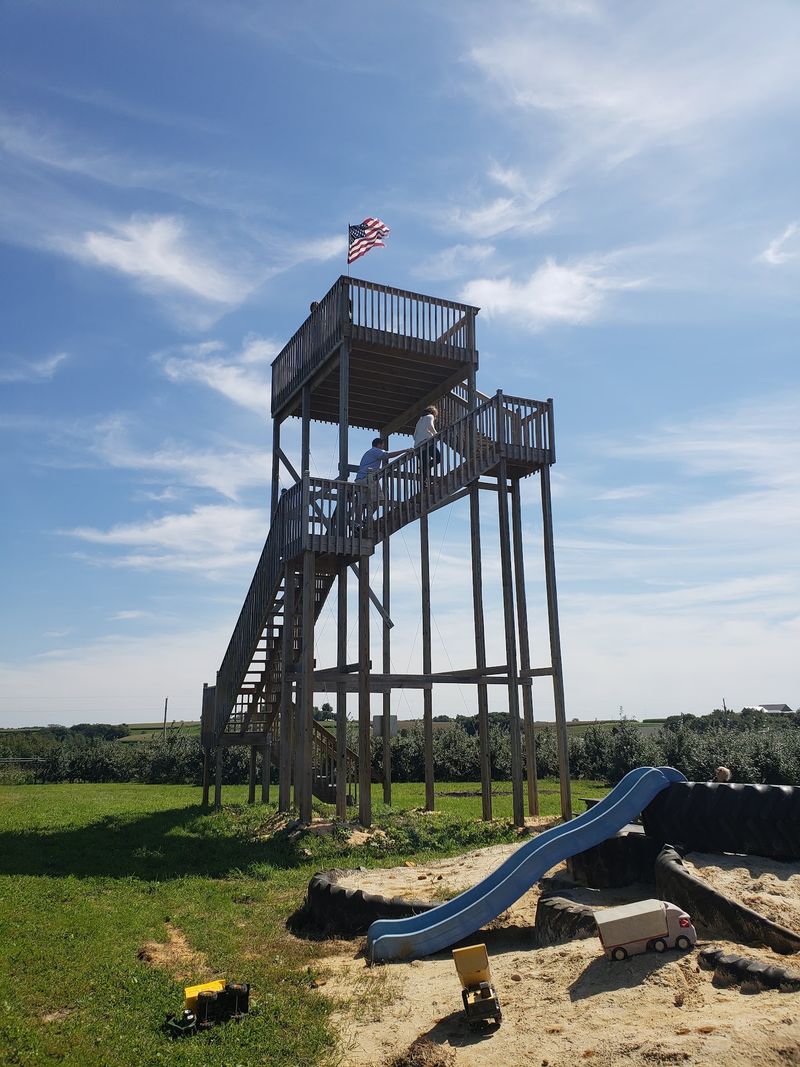 A Play Area Built For Burning Off Energy