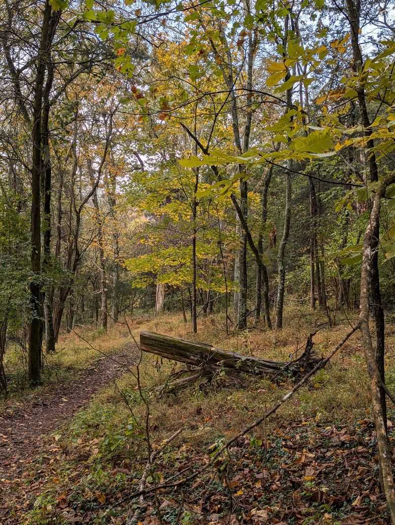 Wooded Trails That Range From Easy Strolls To Steep Climbs
