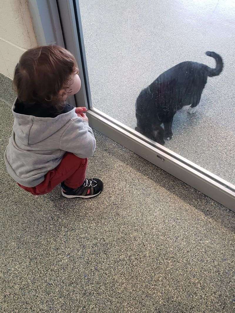 Adoption Matchmaking With A Personal Touch