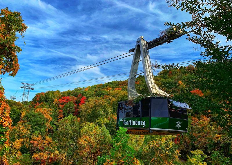 Riding the Aerial Tramway and Scenic Chairlift
