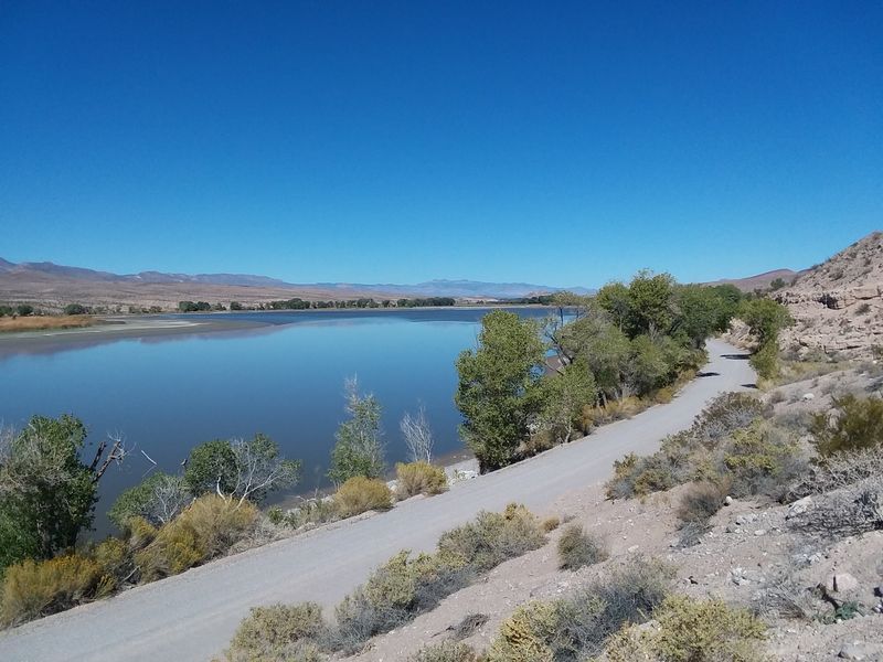 Wetlands on the Road North of Las Vegas