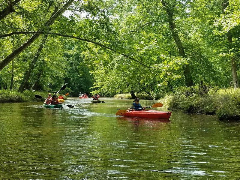 Paddles Up On Quiet Water