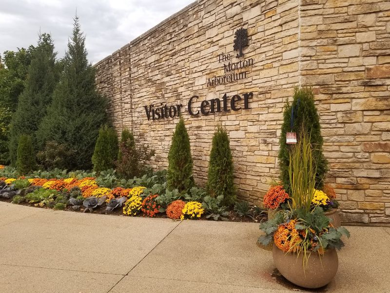 Accessibility, Strollers, And Rolling Comfortably