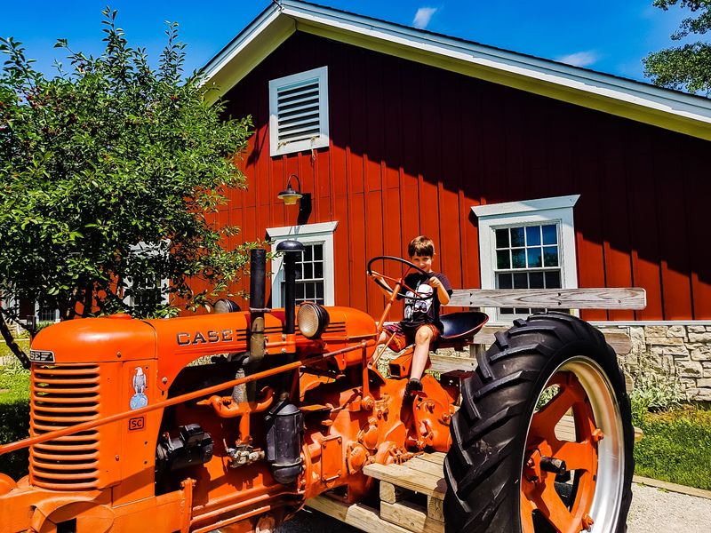 Registered Programs Where Kids Handle Real Chores