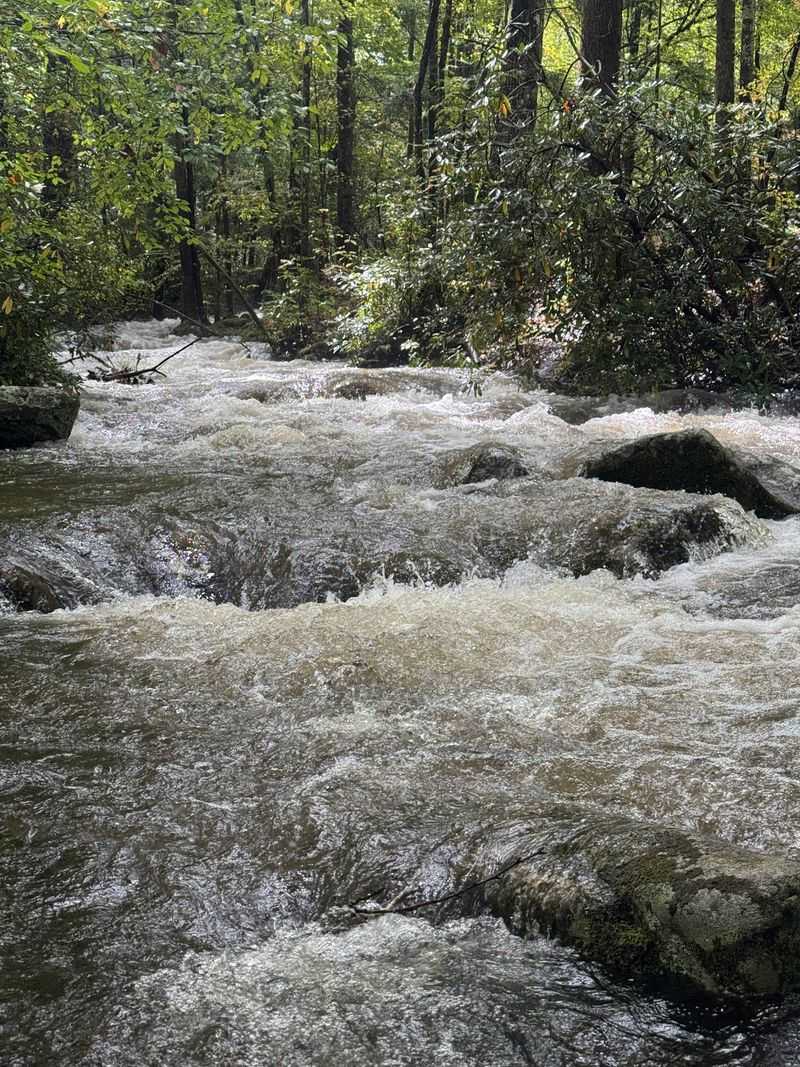 River Sounds, Short Trails, and Firefly Season