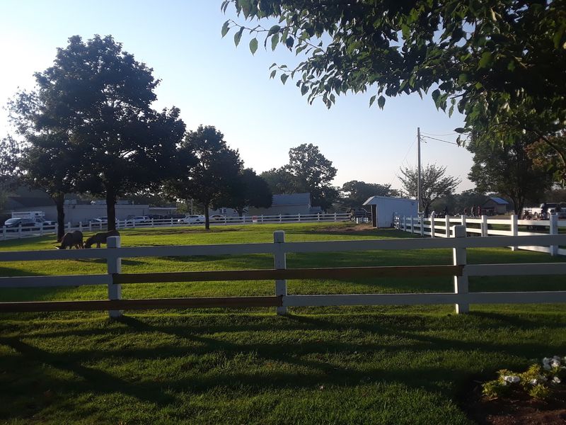 Finding The Farm On South Main Street