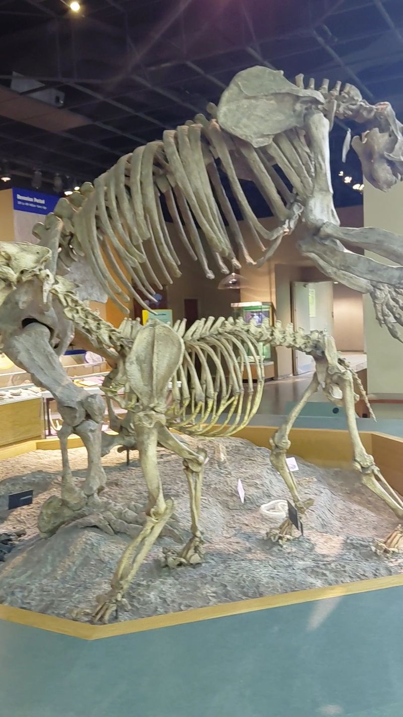 Mississippi Museum of Natural Science