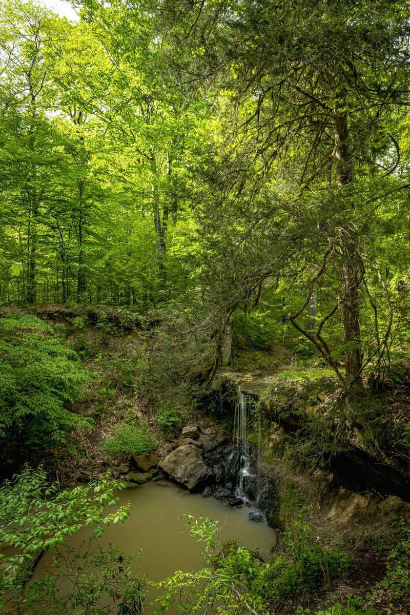 Owens Creek Waterfall - Natchez Trace Parkway