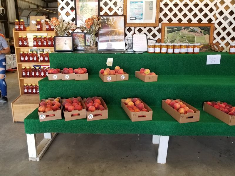 Cherry Creek Orchards - Pontotoc